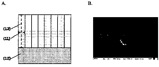 Nanowire array, optoelectronic device and manufacturing method thereof