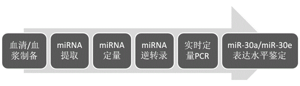 Internal reference for real-time quantitative PCR detection of serum and plasma miRNA