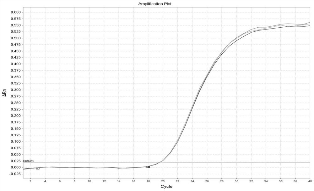 Primer group and kit for detecting mRNA expression of cationic protein of human eosinophilic granulocyte