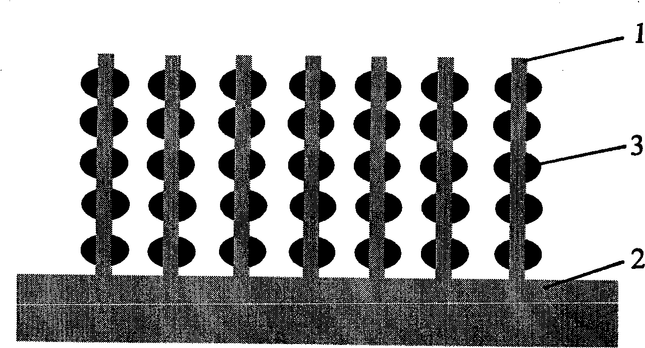 Germanium nanopoint/silicon nanowire array structure thin film and preparation thereof