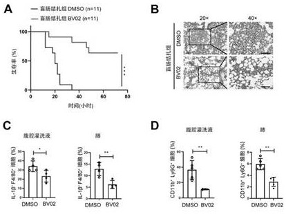 Application of Intervention 14-3-3 in the Treatment of Sepsis