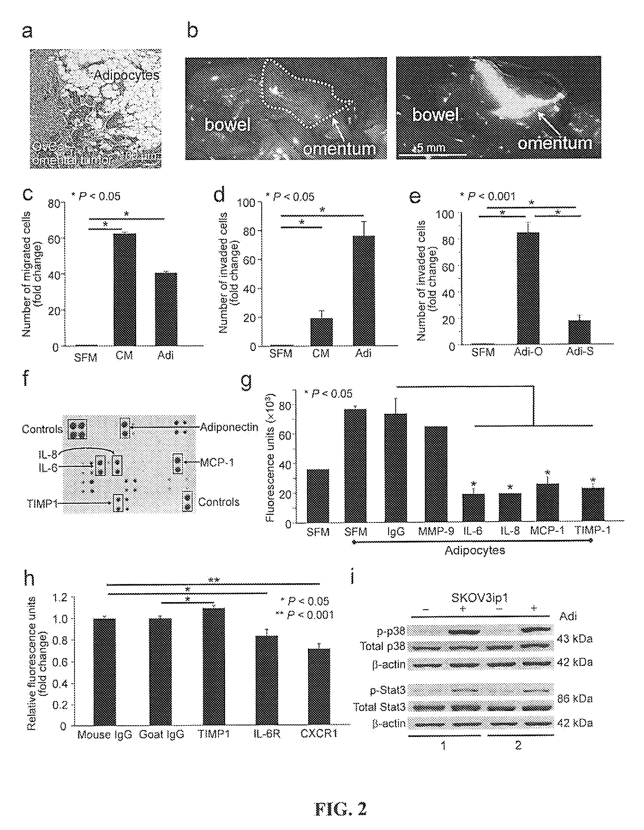 Methods for treating ovarian cancer by inhibiting fatty acid binding proteins