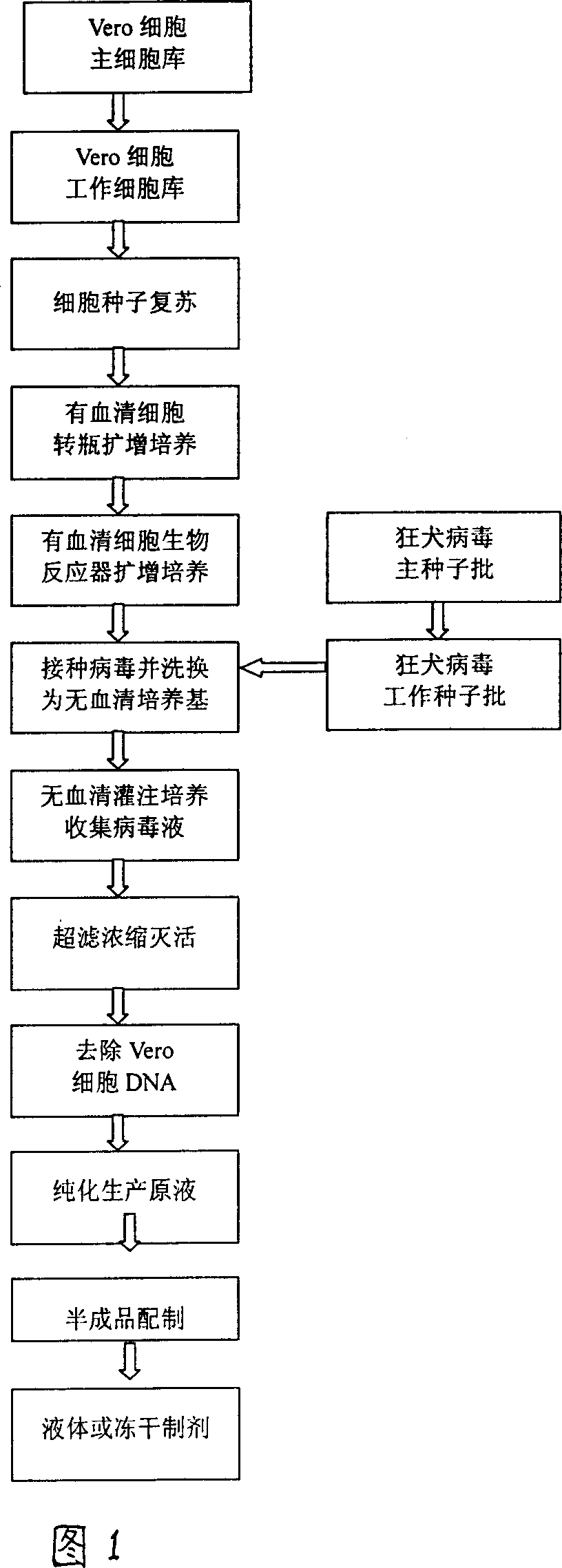 Mass-production method of hydrophobic vaccine