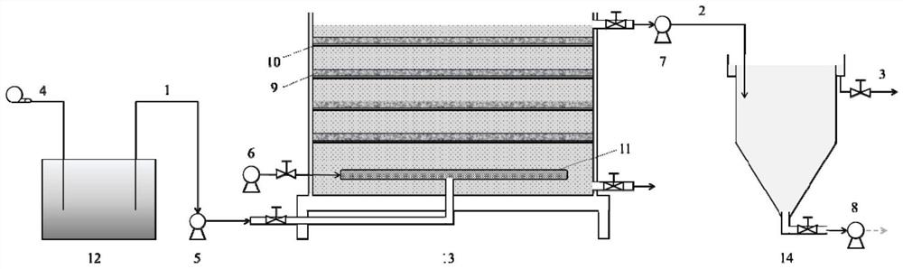 Method for promoting phosphorus removal by stimulating periphyton through AHLs quorum sensing signal molecules and biological phosphorus removal system