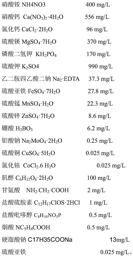 Carya illinoensis cell embryo tissue culture method