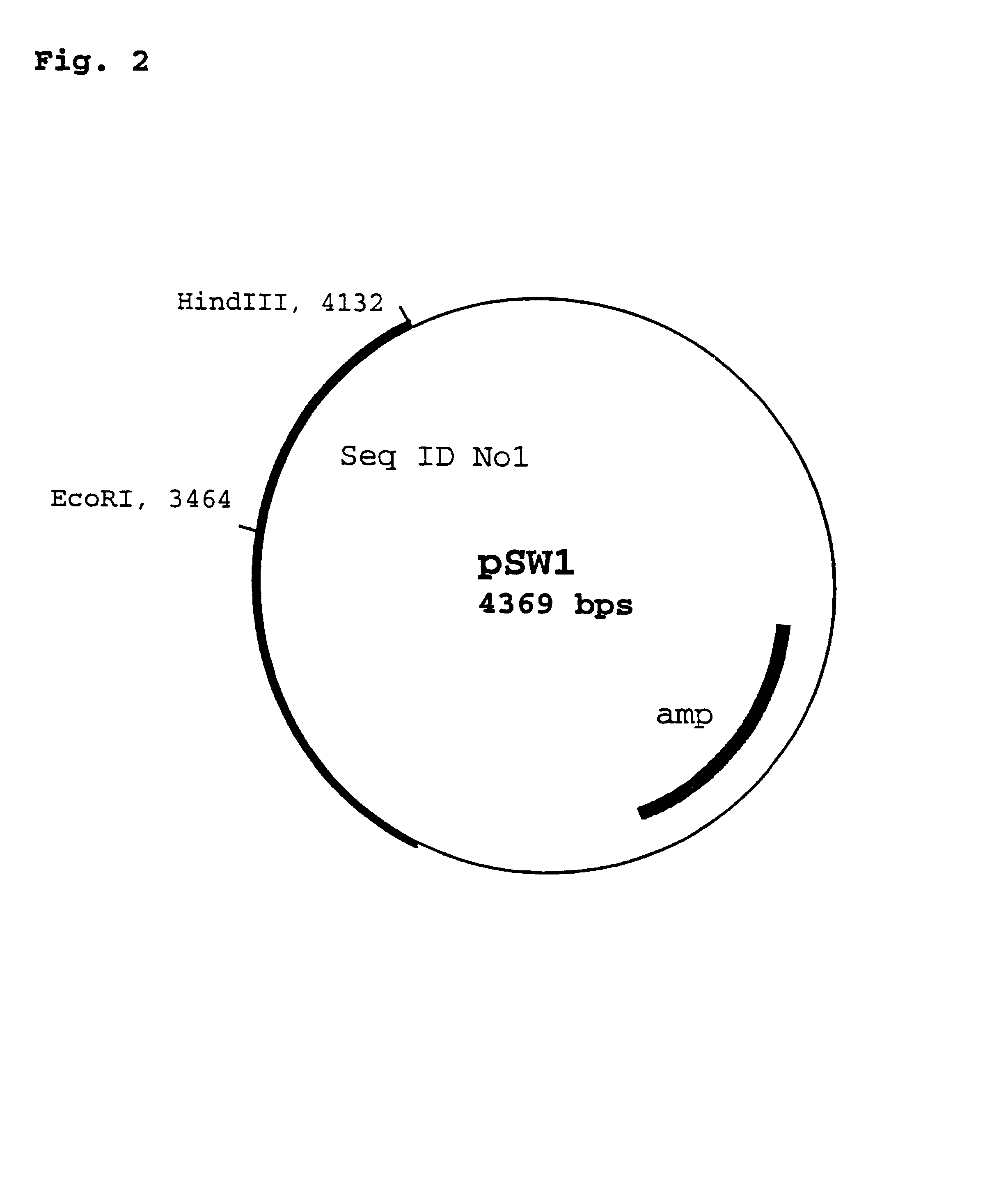 Vector for integration of heterologous sequences into poxviral genomes