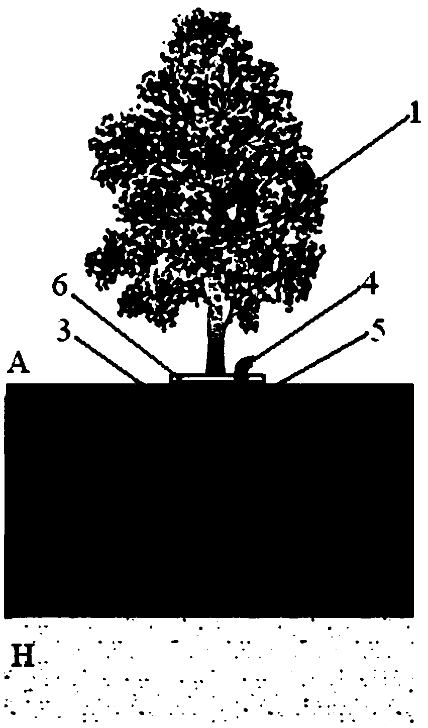 A phytoremediation method for underground soil pollution