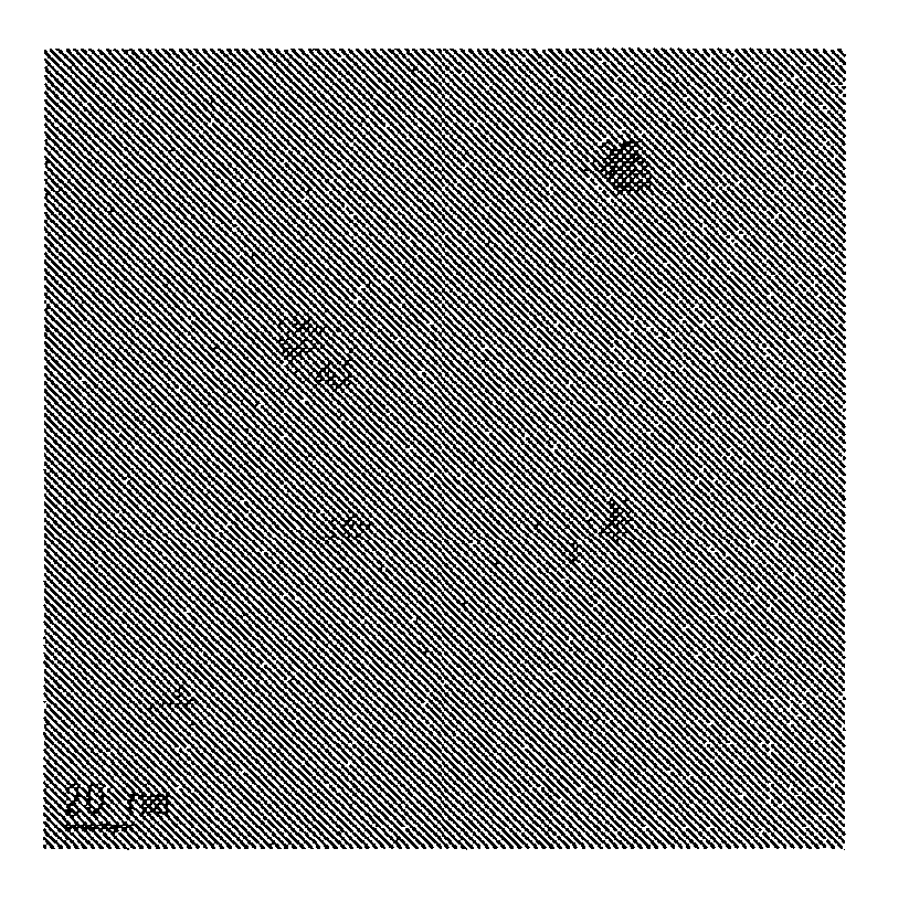 Method for producing ceramic nanoparticles