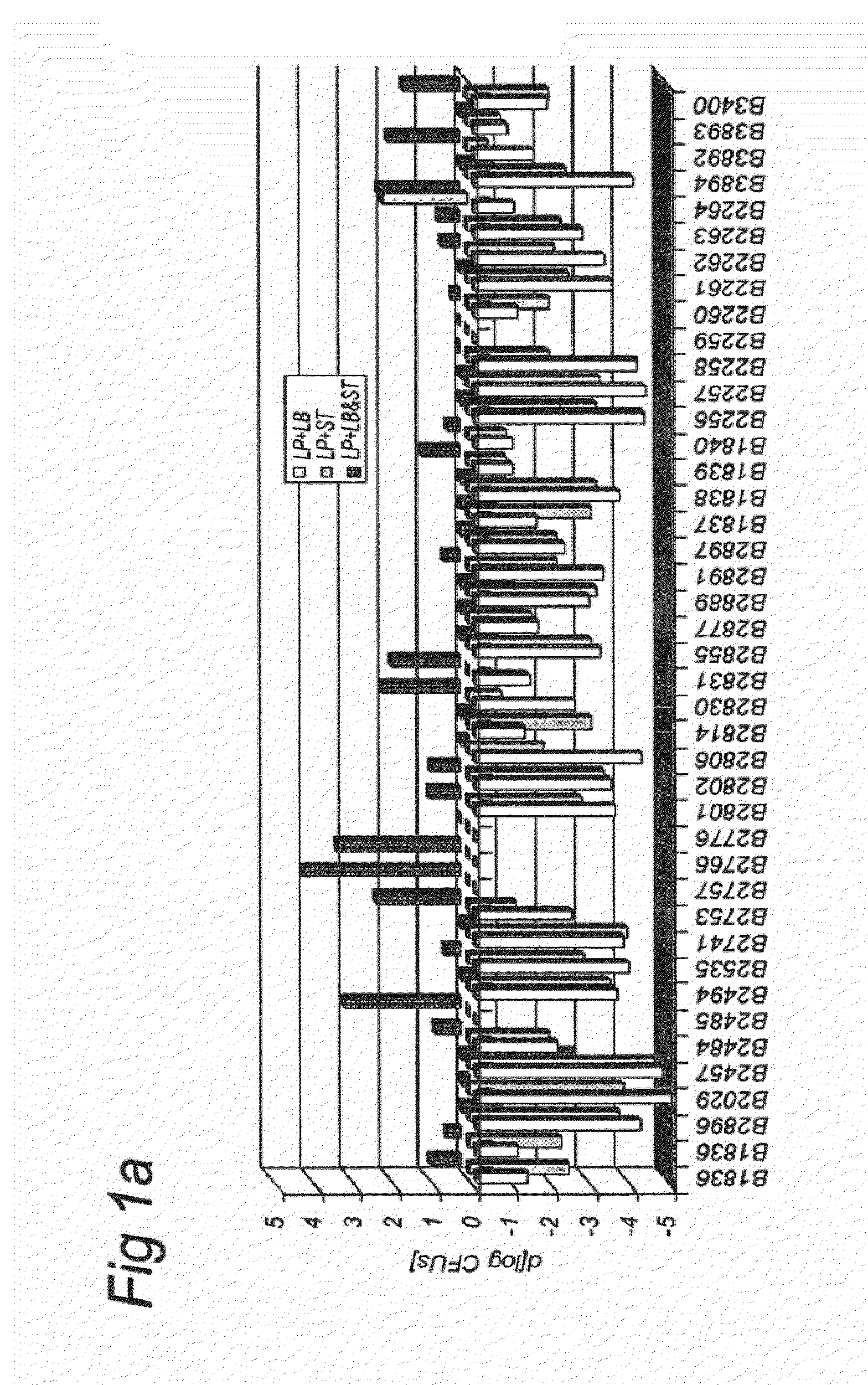 Soy milk fermentation