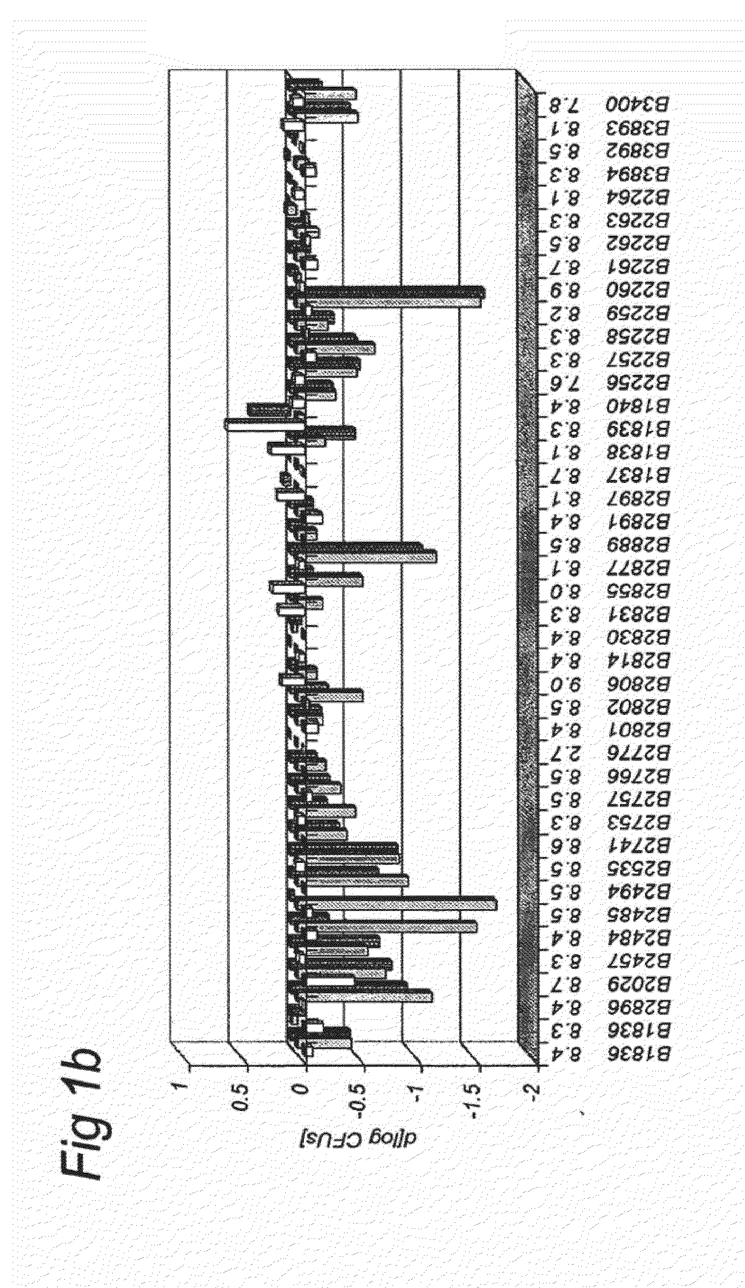 Soy milk fermentation