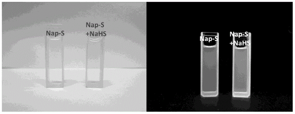 Fluorescence probe for detecting hydrogen sulfide as well as preparation method and application method of fluorescence probe