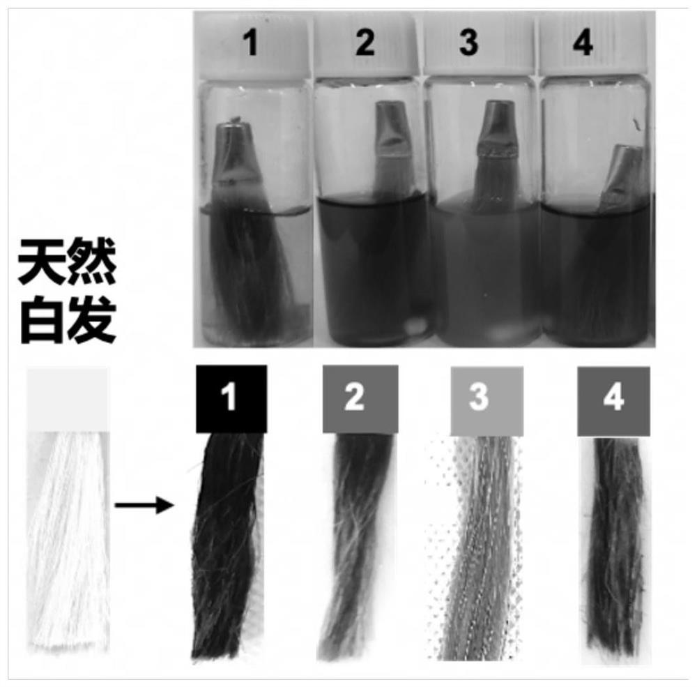 Method for carrying out colored hair dyeing based on enzymatic oxidation of tyrosine derivatives