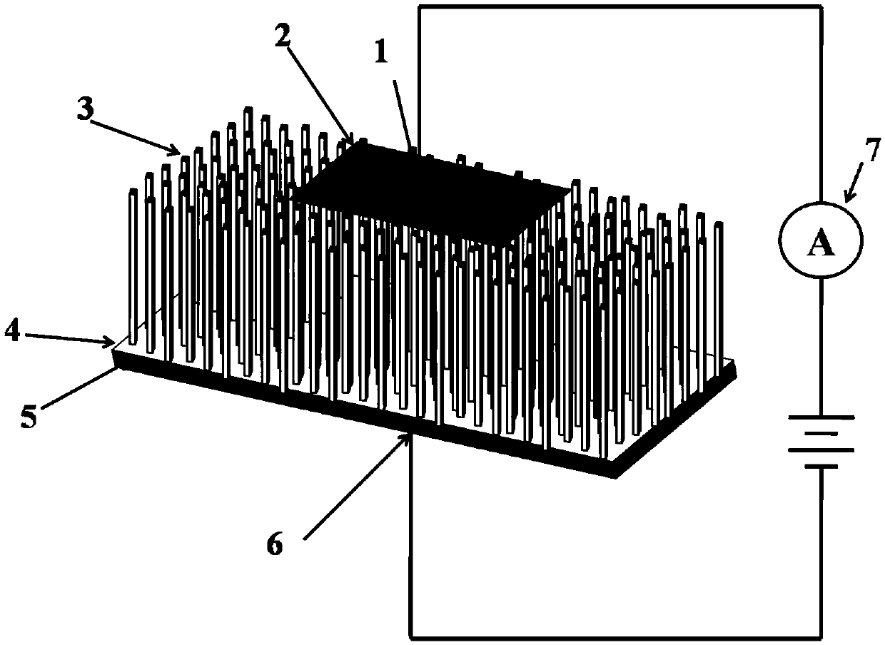 Titanium dioxide nanorod array/silicon heterojunction-based ultraviolet light detector and preparation method thereof