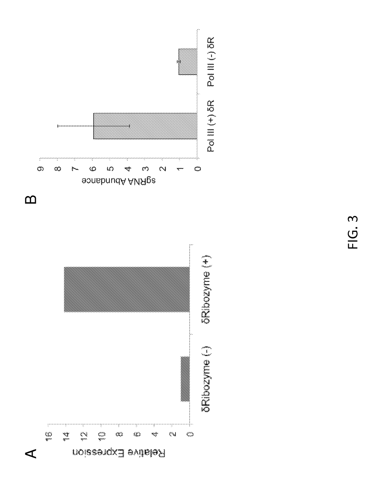 Vectors and methods for fungal genome engineering by crispr-cas9