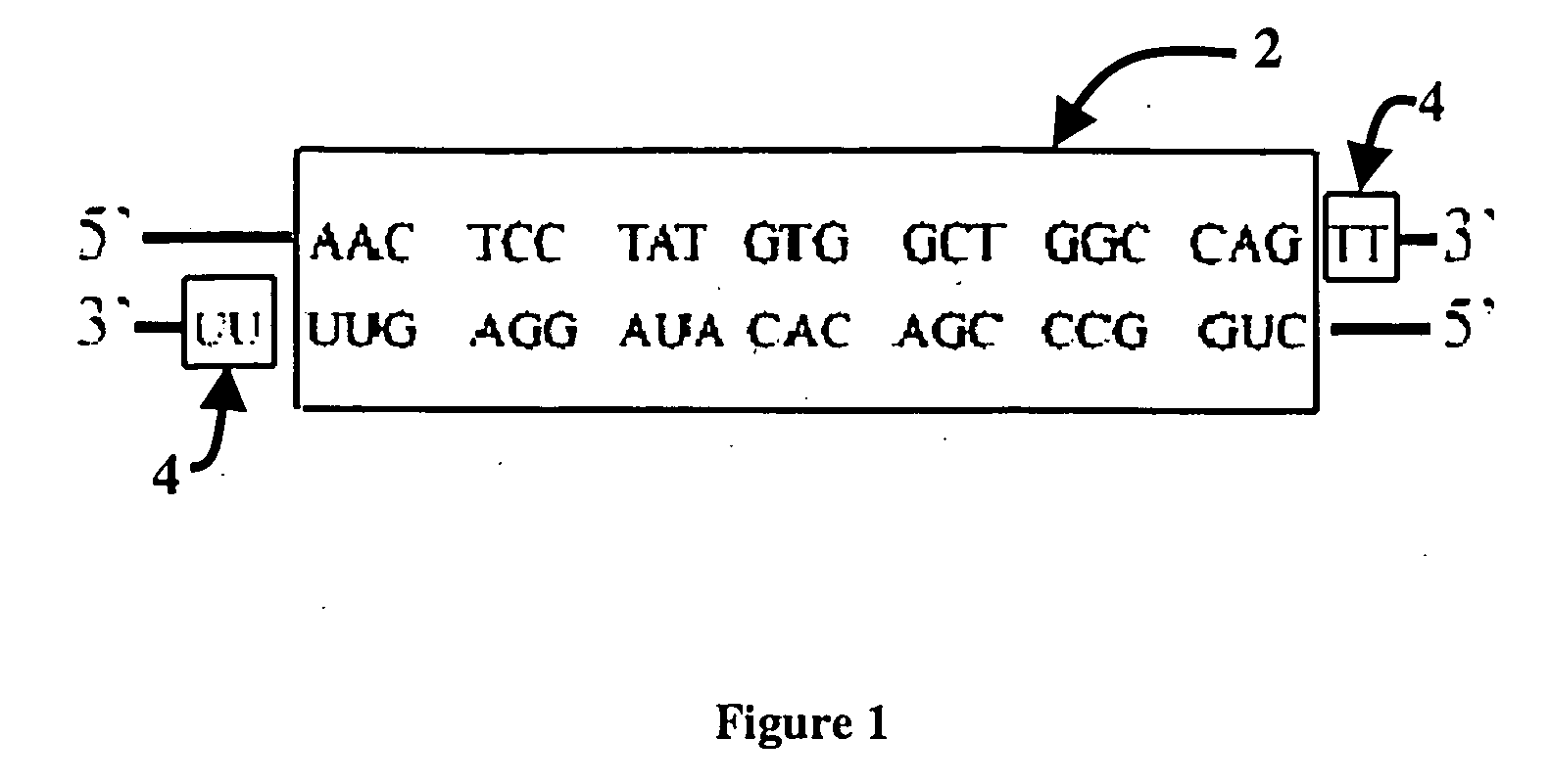 Short interfering nucleic acid hybrids and methods thereof