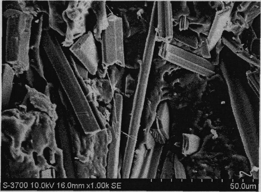 Polycaprolactone/calcium sulfate composite material and preparation method thereof