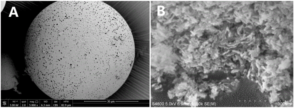 Controlled preparation method of surface porous structure of polylactic acid/HAP (hydroxyapatite) composite microspheres and application