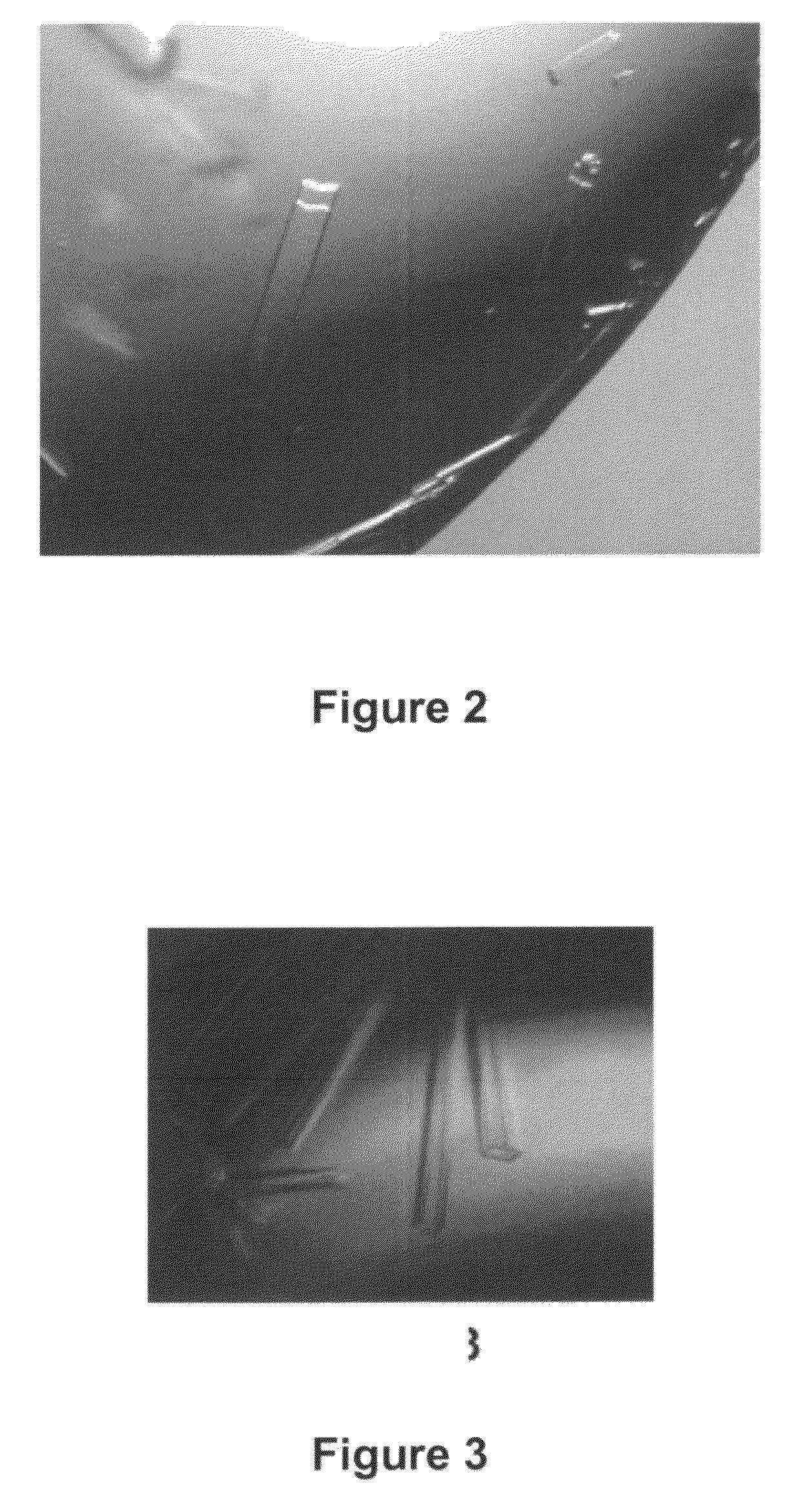 Compositions and methods for crystallizing antibody fragments