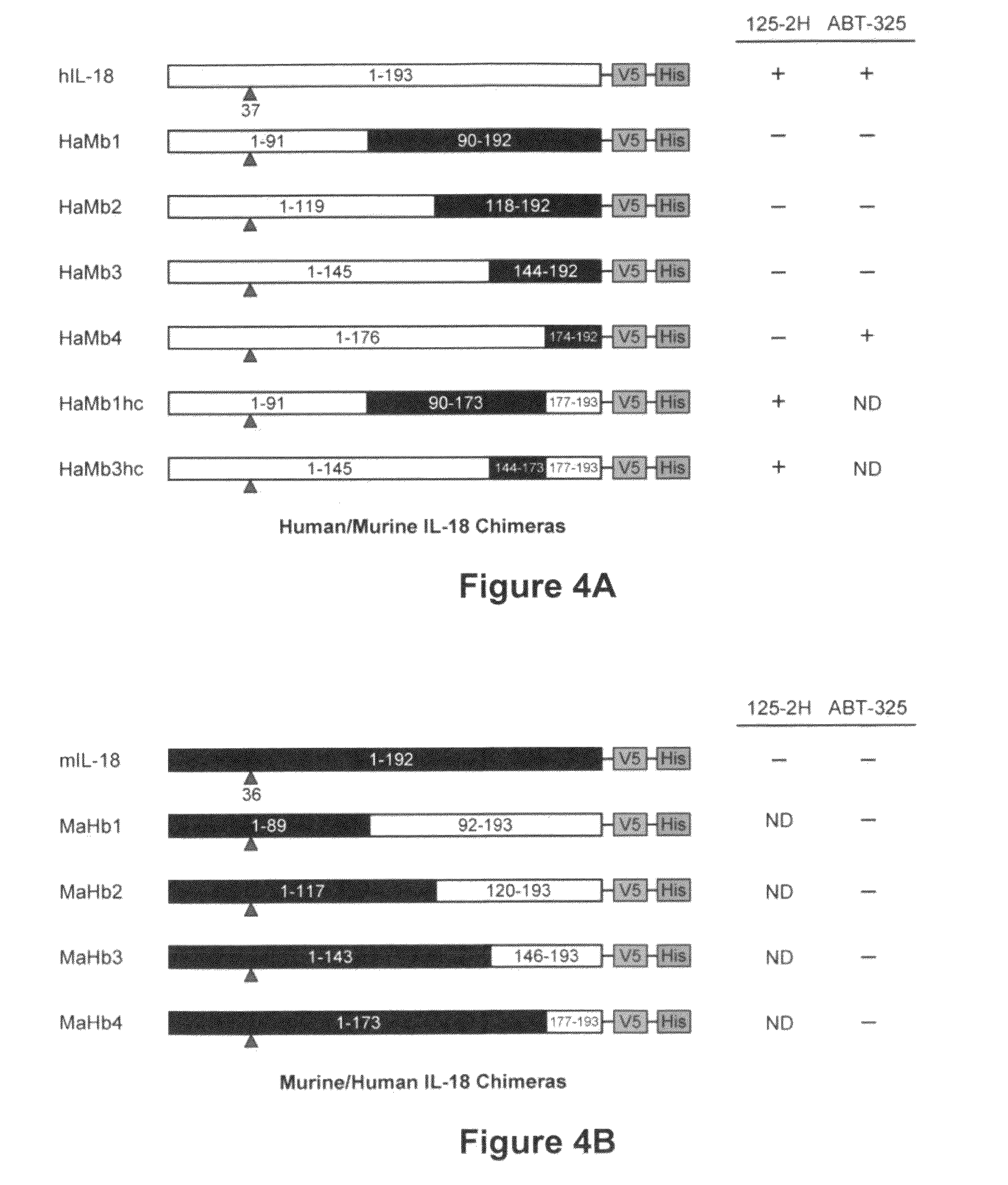 Compositions and methods for crystallizing antibody fragments