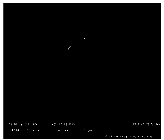 Preparation method of solid spherical multiple-ring-shaped lithium-rich manganese-based solid solution cathode material oxide precursor