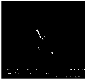 Preparation method of solid spherical multiple-ring-shaped lithium-rich manganese-based solid solution cathode material oxide precursor