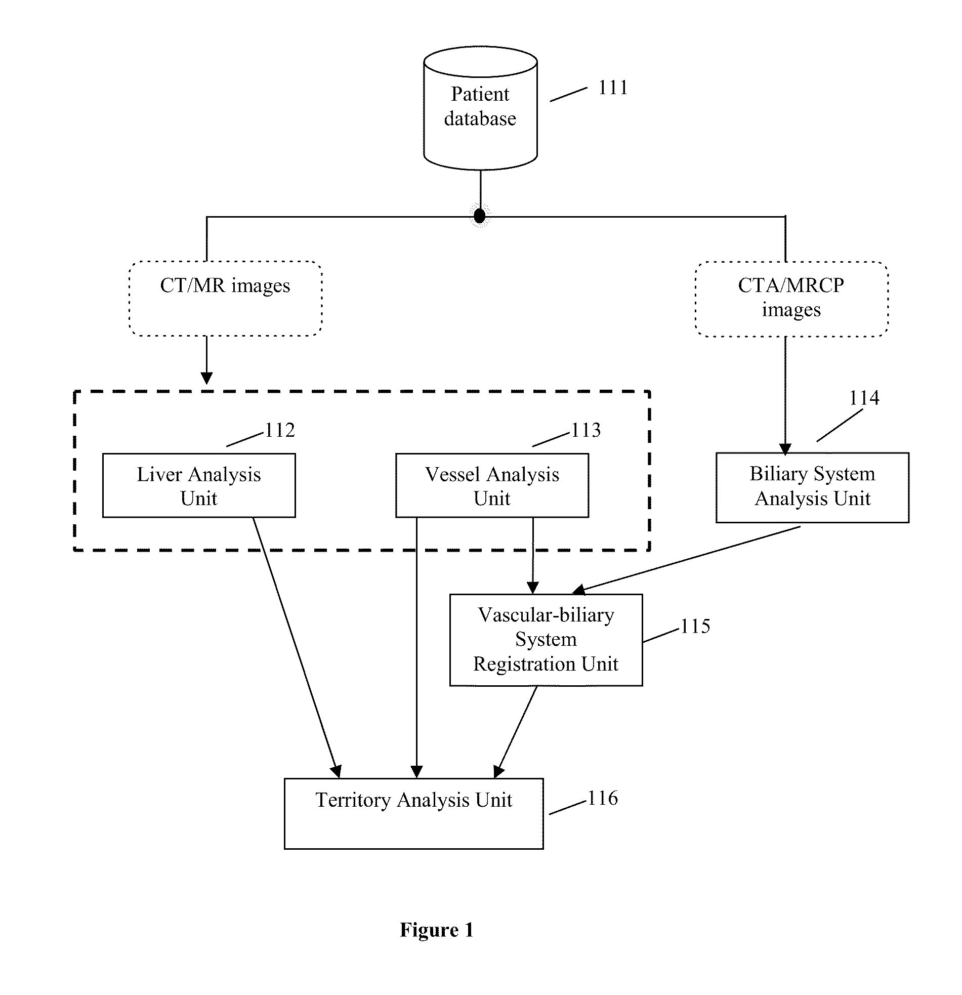 Method, system, apparatus, and computer program product for interactive hepatic vascular and biliary system assessment