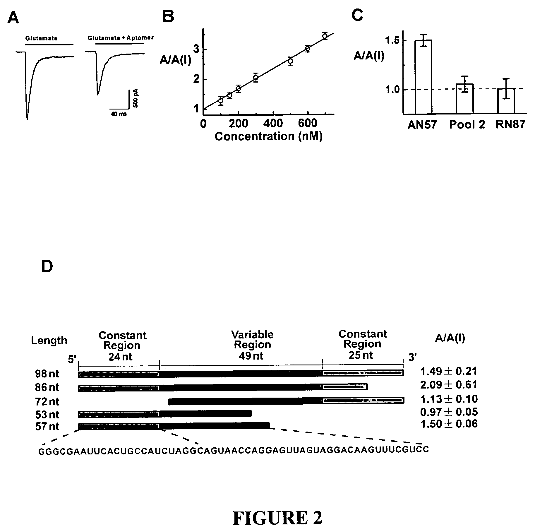 Nucleic acid inhibitors of glutamate receptors