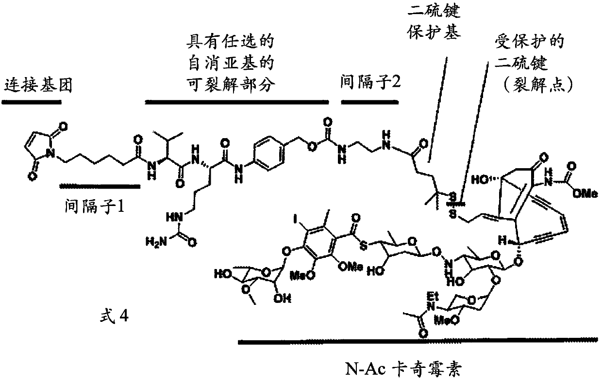 Calicheamicin constructs and methods of use