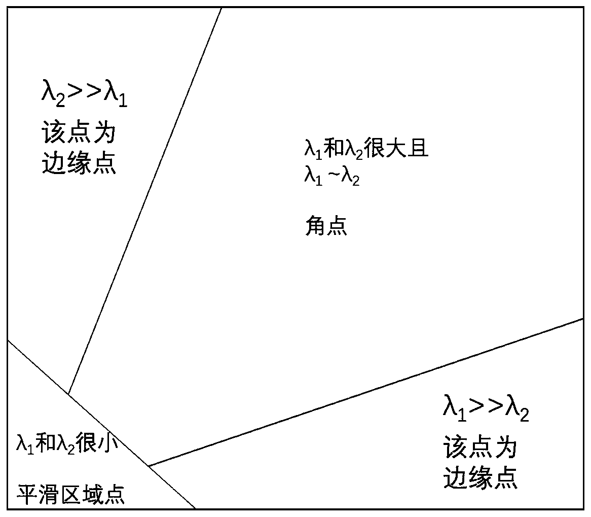 Visible light and infrared camera dynamic pose calculation method based on bidirectional homography matrix