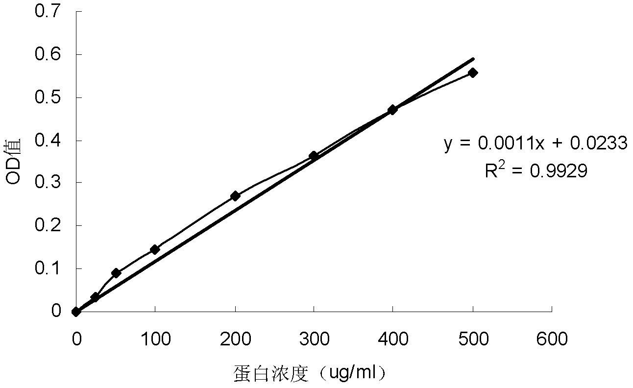 Polysaccharide and protein conjugate