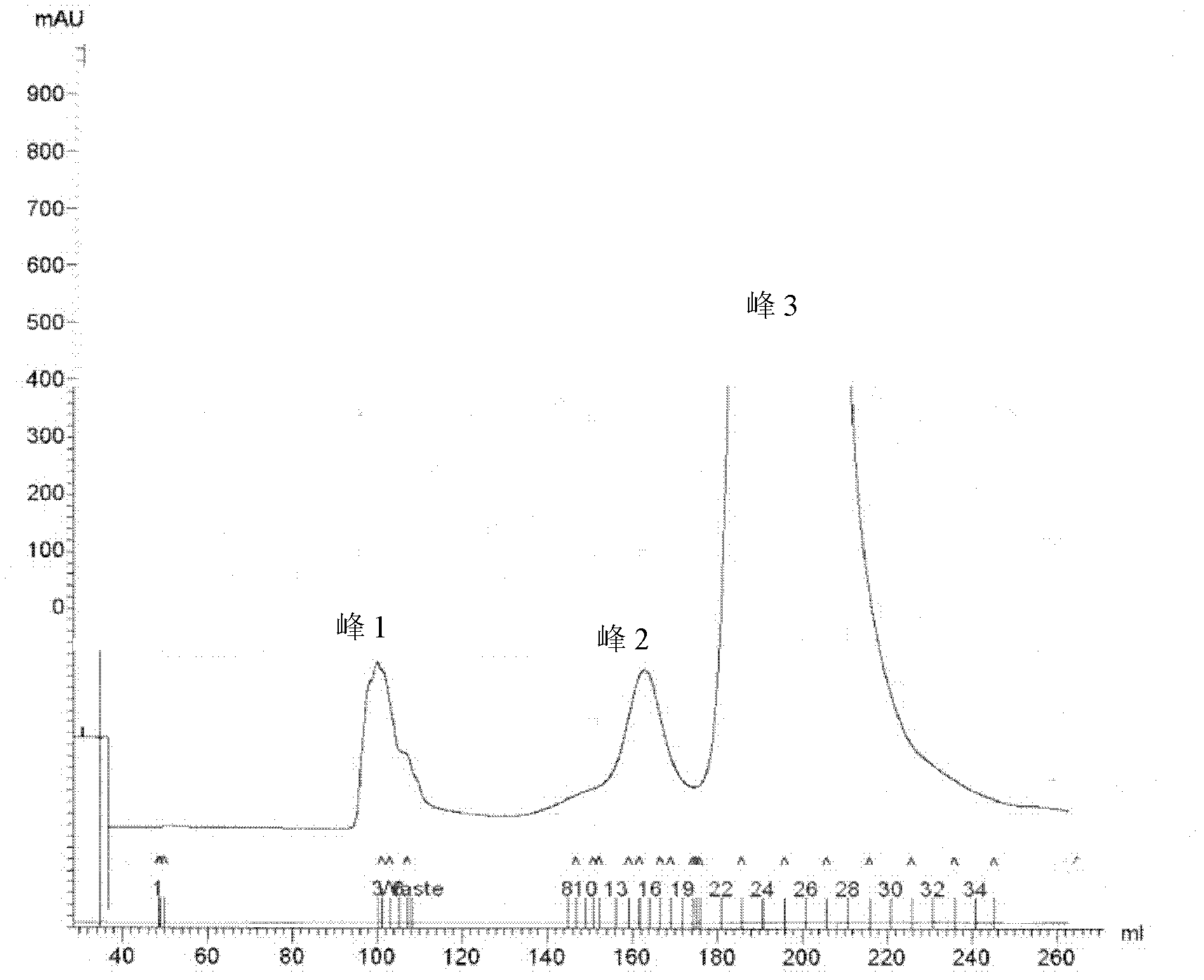 Polysaccharide and protein conjugate