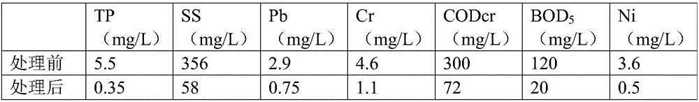 Porcelain granule produced by using river, lake and sea sludge and shellfish powder as raw materials and preparation method of porcelain granule