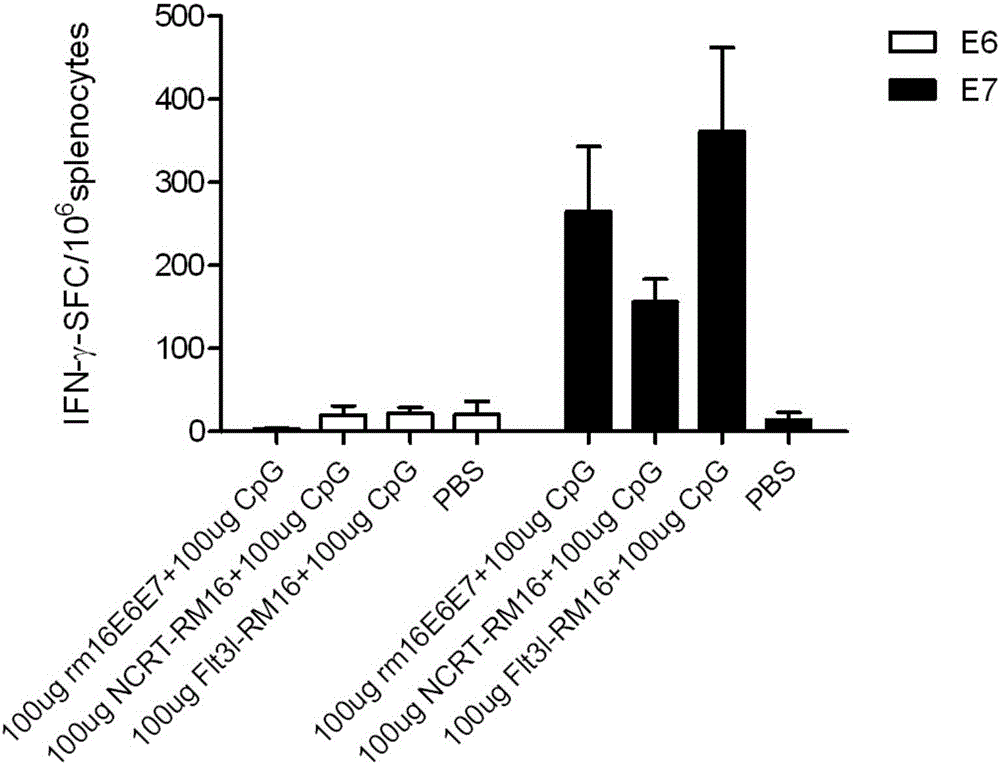 Recombinant protein and medicine composition and application thereof