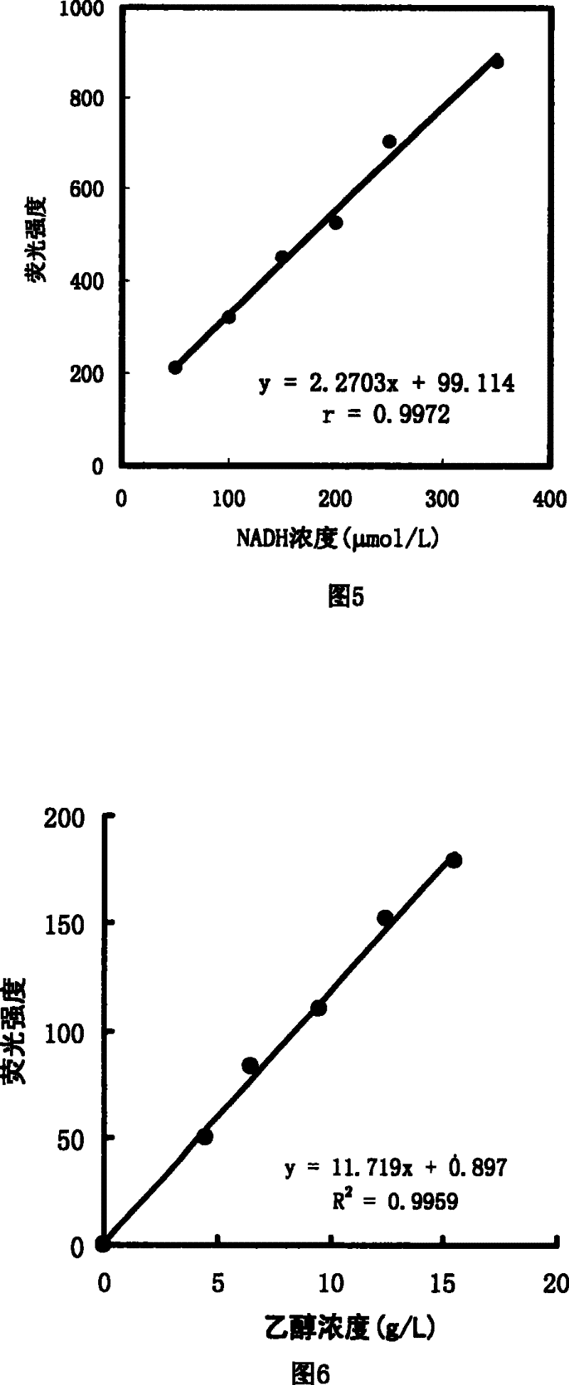 Fluorescent capillary reaction device and fluorescent capillary analysis method