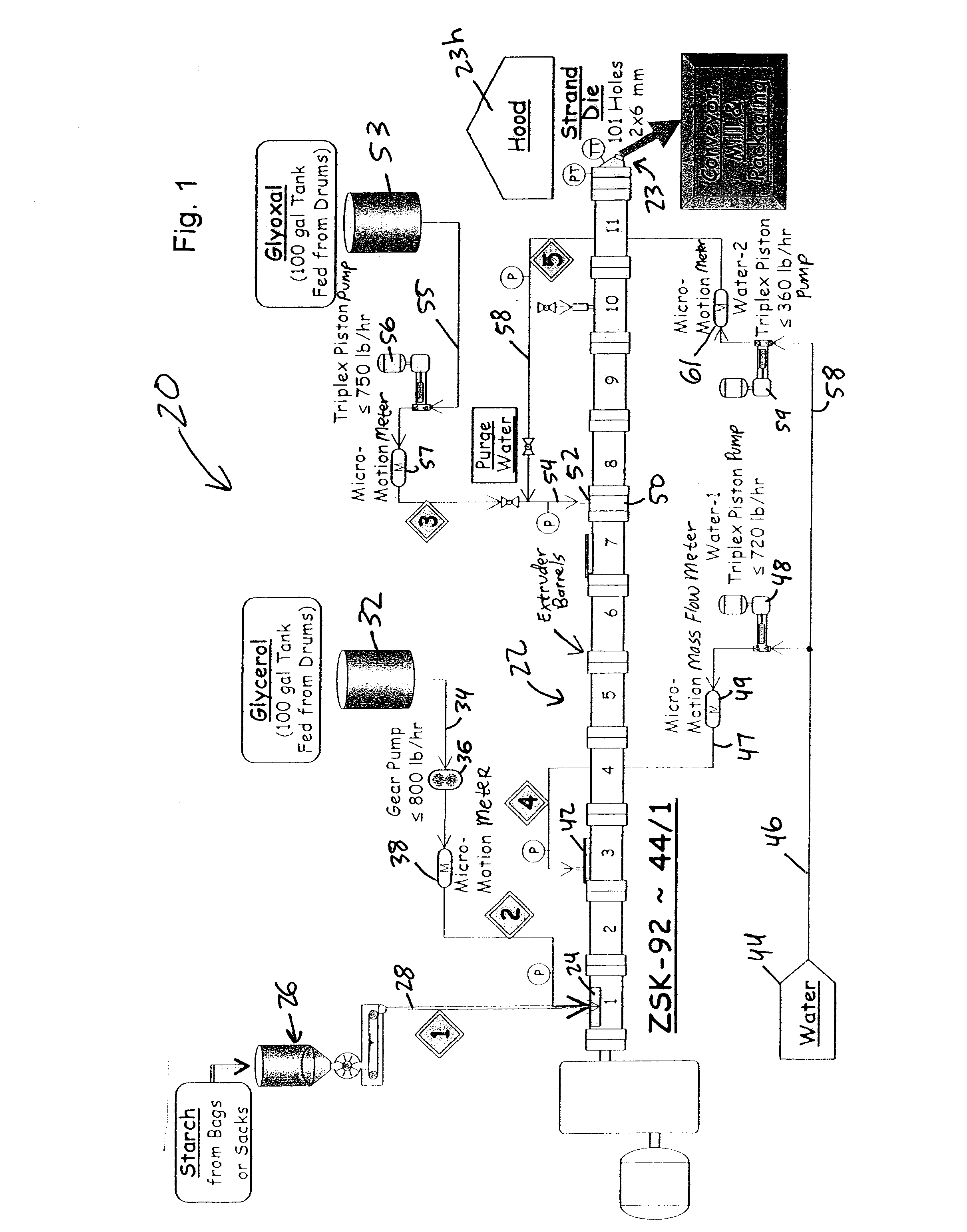 Process for producing biopolymer nanoparticles