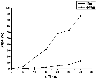 Composite microbial inoculant for degrading shale gas-water based drilling cutting pollutants as well as preparation method and use method of composite microbial inoculant