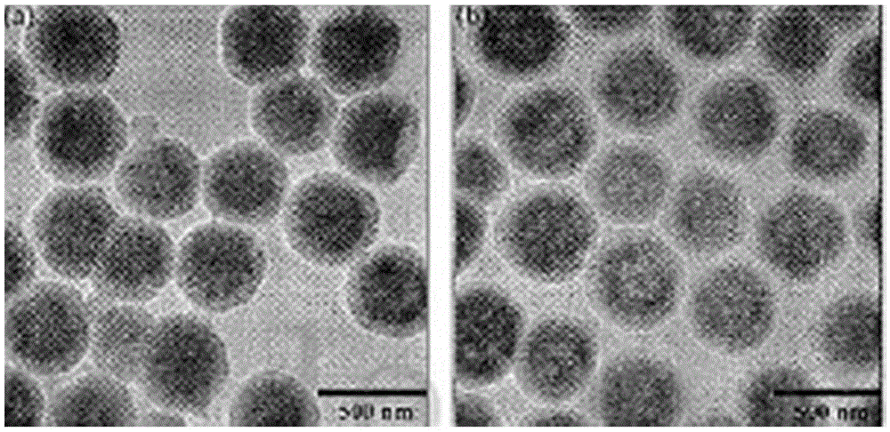 Nano magnetic bead for nucleic acid purification