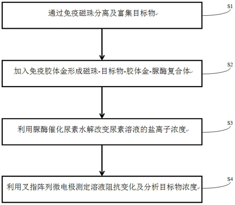 Microbial detection method based on immunomagnetic separation and urease catalysis