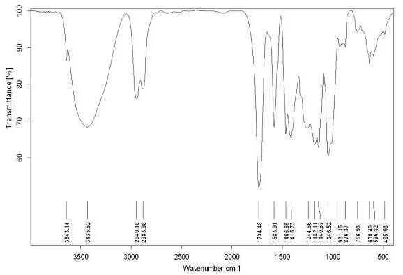 High polymer ester calcium and synthesis method thereof