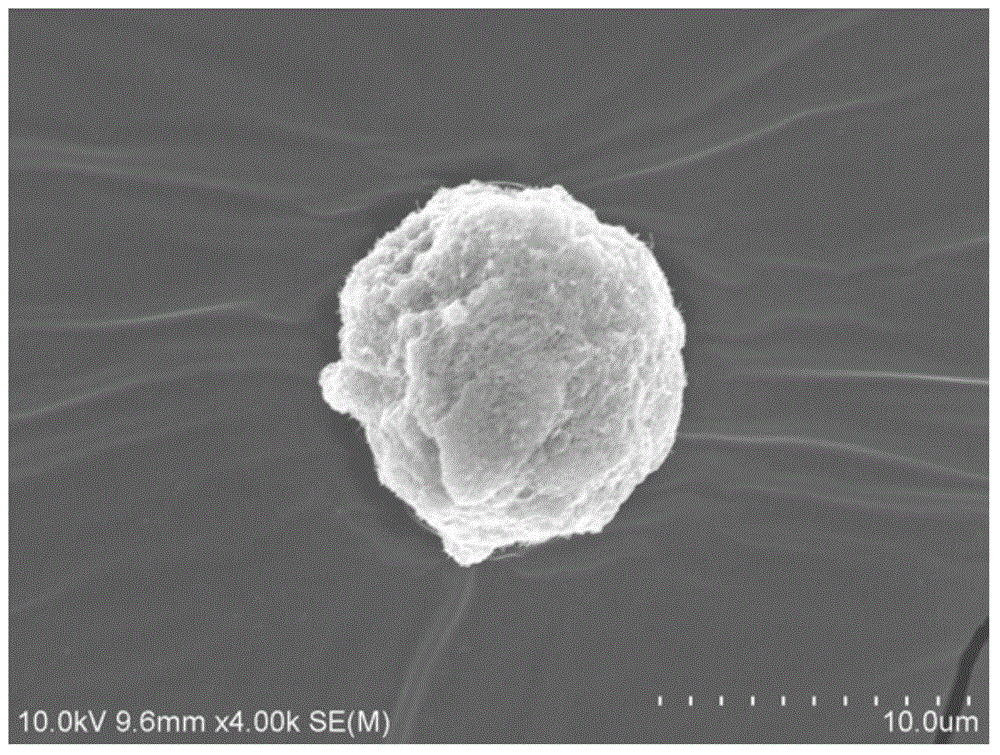 Nanoparticle/polypropylene random copolymer compound resin for 3D printing, preparation method and application thereof