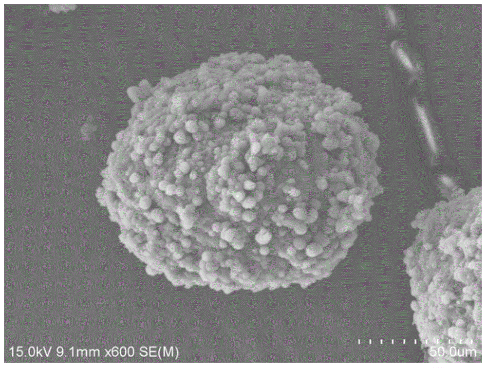 Nanoparticle/polypropylene random copolymer compound resin for 3D printing, preparation method and application thereof