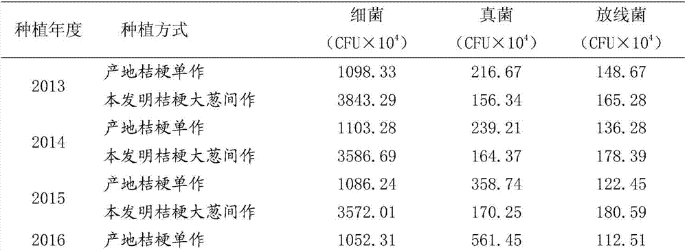 Platycodon grandiflorum intercropping planting method capable of reducing continuous cropping obstacles of platycodon grandiflorum in pollution-free mode