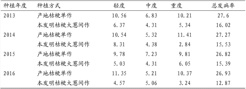 Platycodon grandiflorum intercropping planting method capable of reducing continuous cropping obstacles of platycodon grandiflorum in pollution-free mode