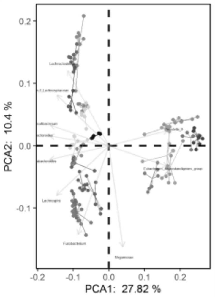 Screening method of an intestinal flora transplantation donor