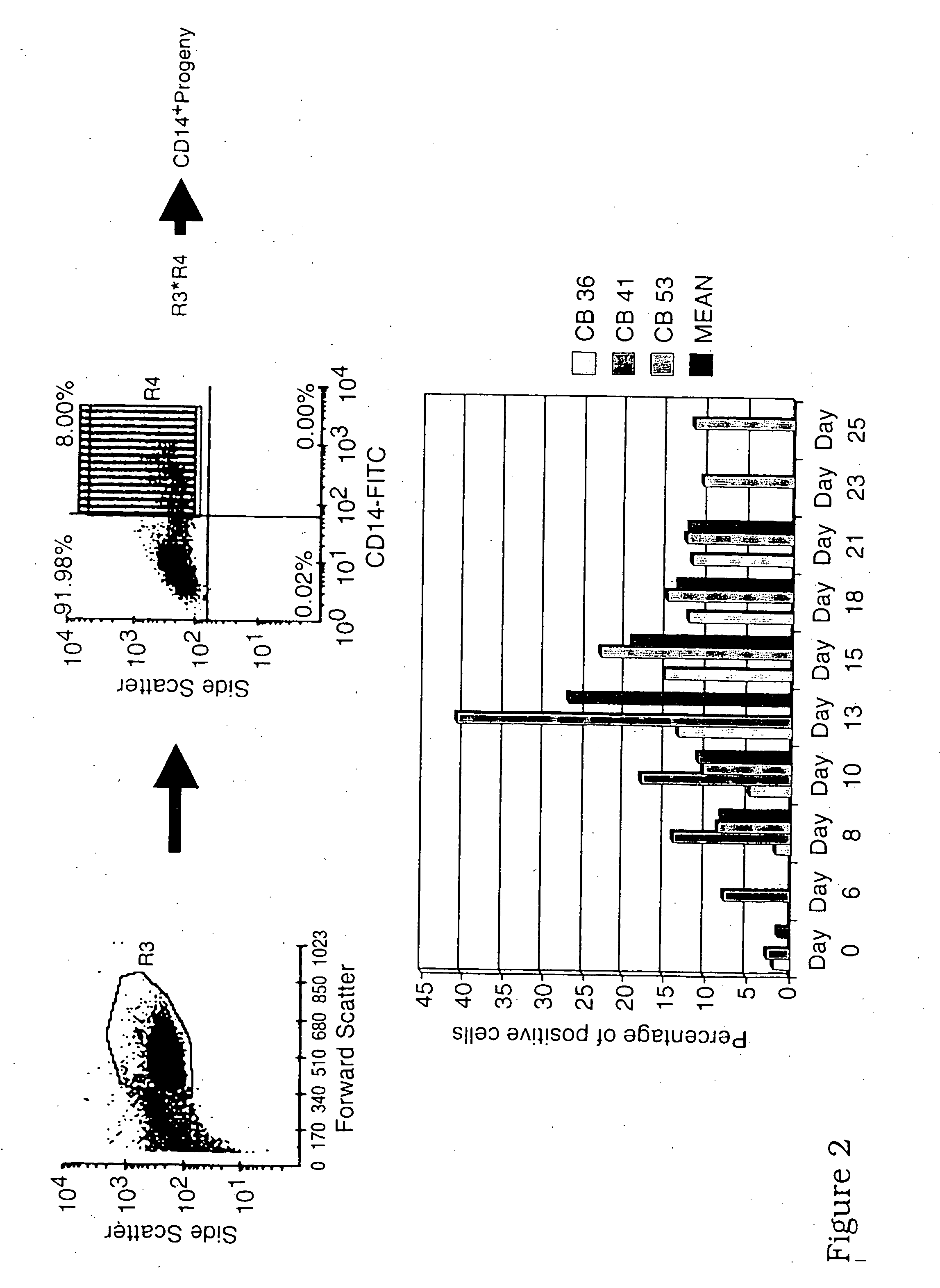 Generation of dendritic cells from cd34+precursors