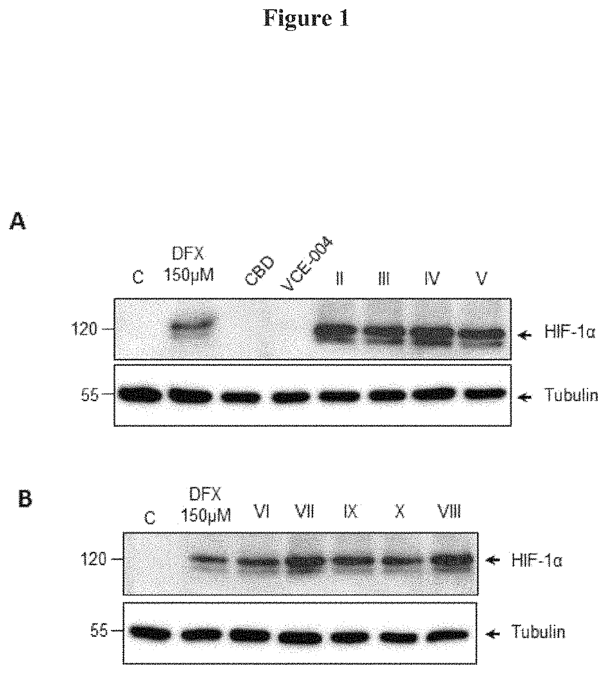 Cannabidiol derivatives as inhibitors of the HIF prolyl hydroxylases activity