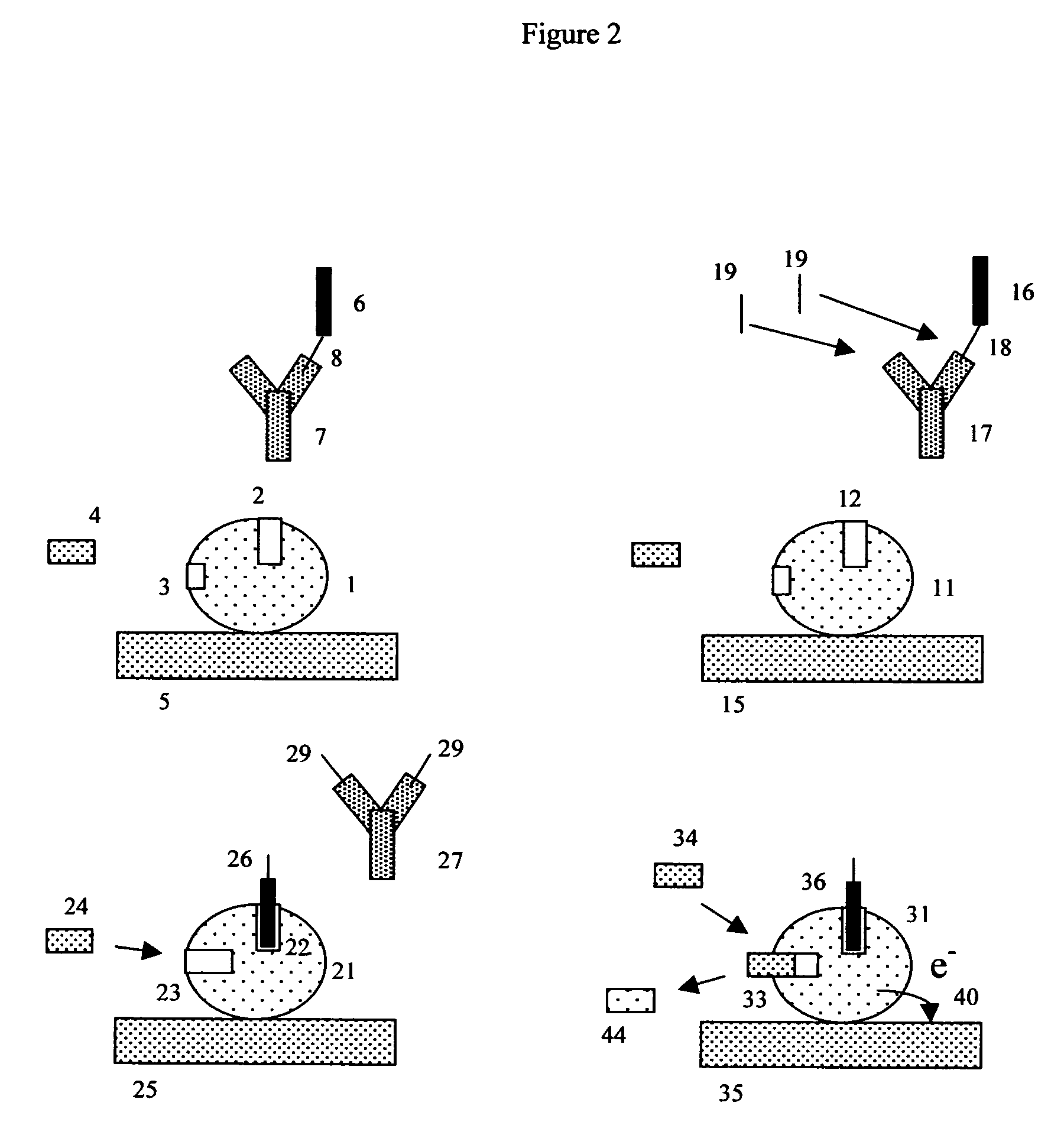 Apoenzyme reactivation electrochemical detection method and assay