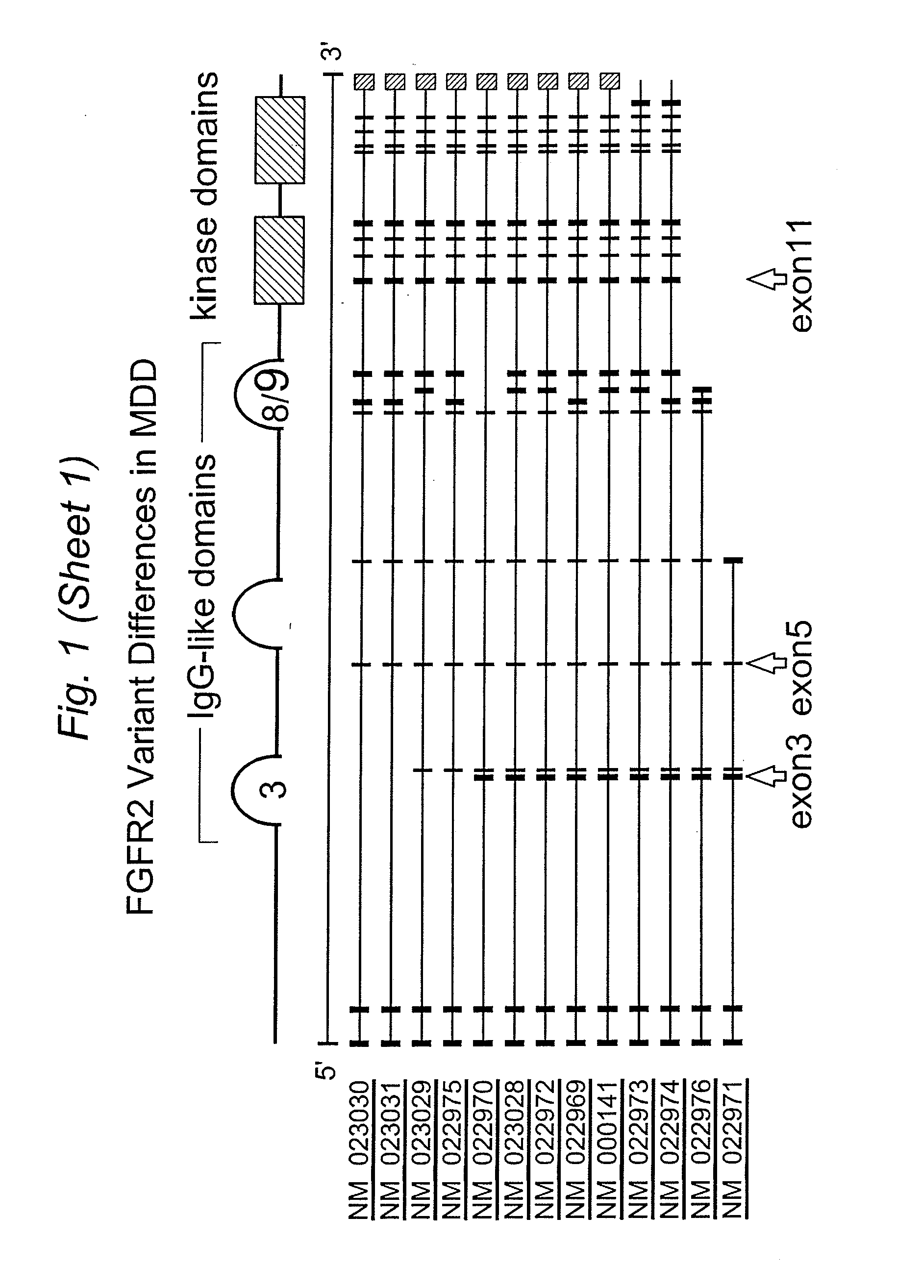 Fgf9-related methods for treating anxiety