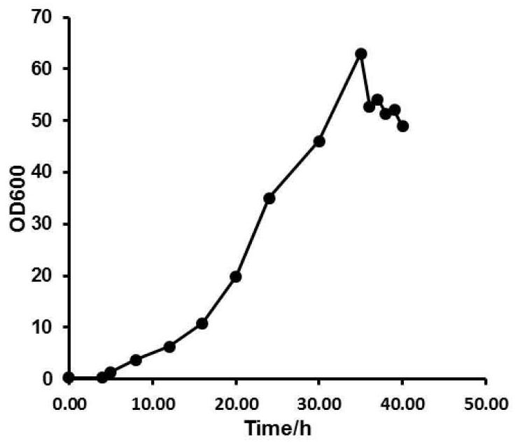 Preparation method of recombinant bacillus subtilis and glutathione