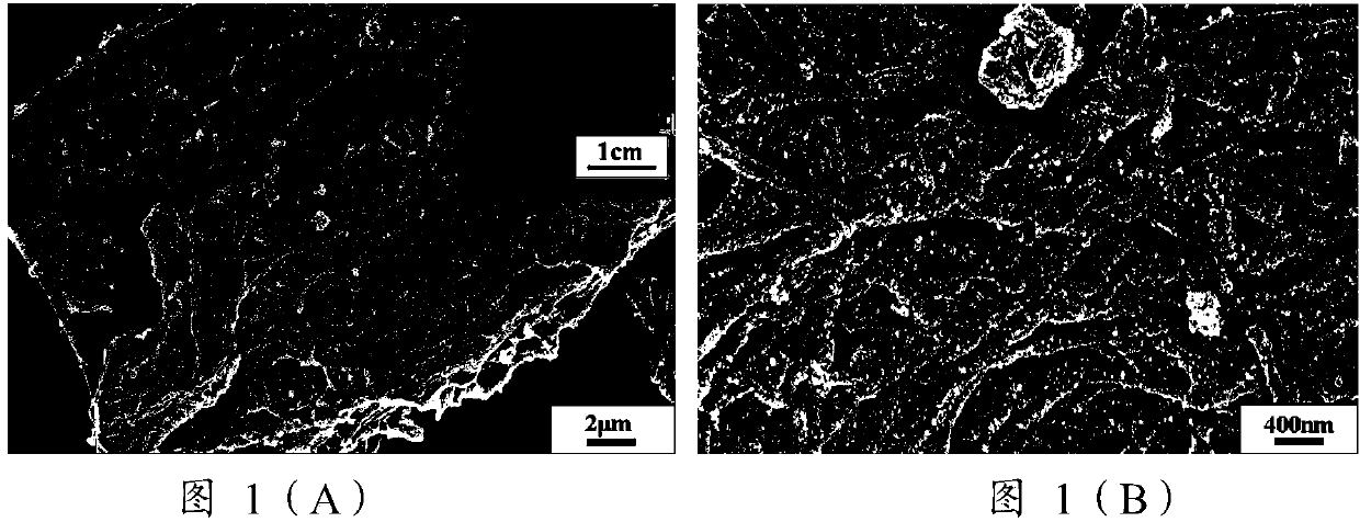 Preparation method of tin-dioxide-coated carbon fiber material, and product and application thereof